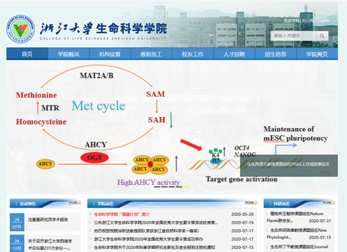 浙江大学生命科学学院网站截图